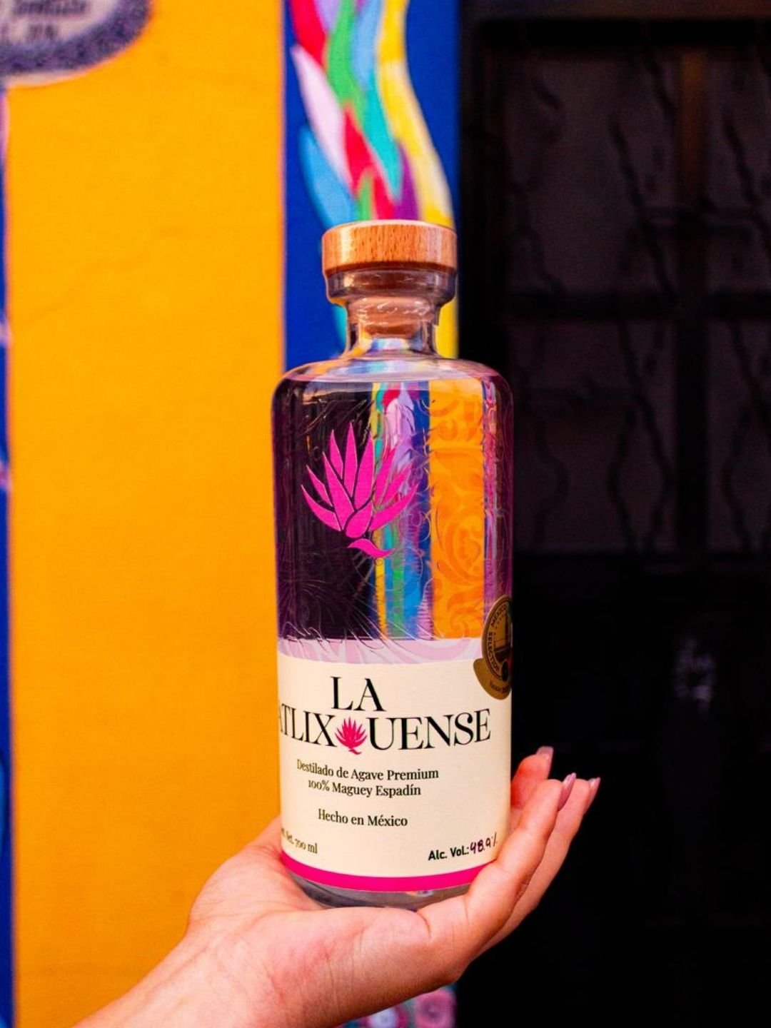 Portada del proyecto LA ATLIXQUENSE